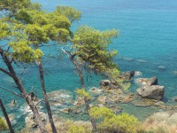 /album/galerie-photos/p1040263-jpg/